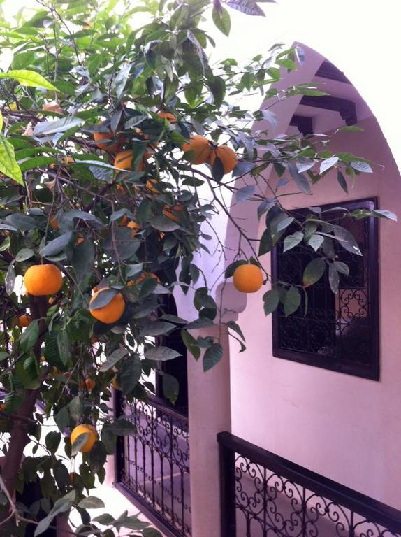 מרקש Riad Le Bel Oranger מראה חיצוני תמונה